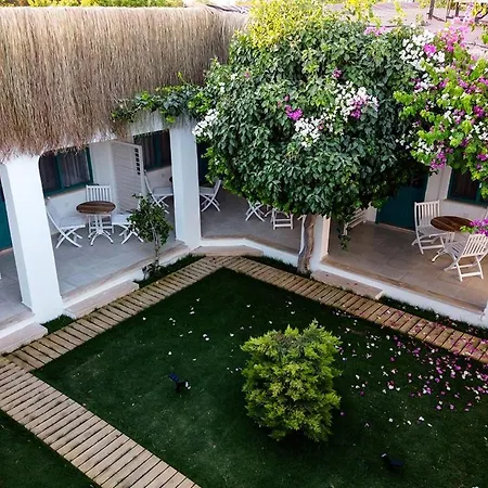 Avlu Palamutbuekue ダッチャ